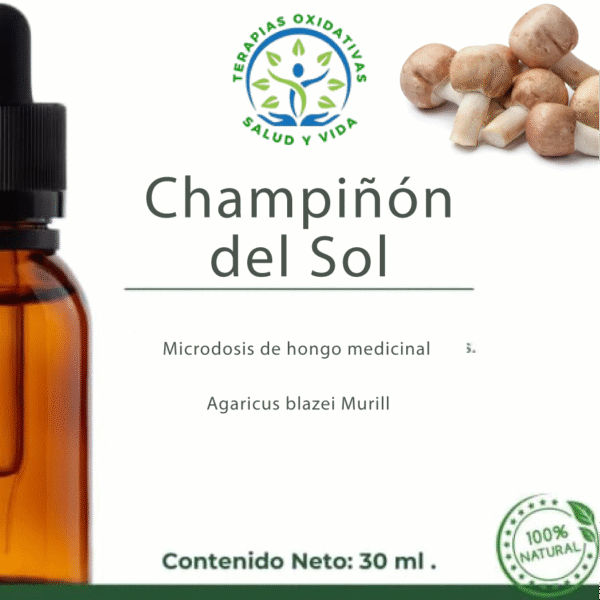 Microdosis de Hongos - Champiñon del Sol