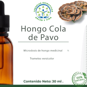 Microdosis de Hongos - Hongo Cola de Pavo (Trametes versicolor)
