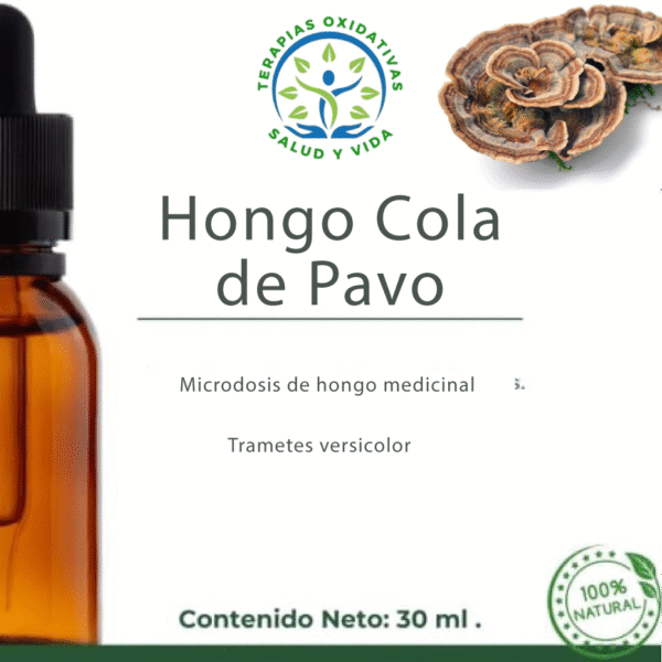 Microdosis de Hongos - Hongo Cola de Pavo (Trametes versicolor)