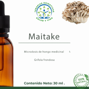 Microdosis de Hongos - Maitake (Grifola frondosa)