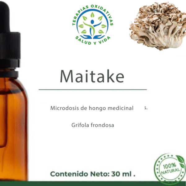 Microdosis de Hongos - Maitake (Grifola frondosa)