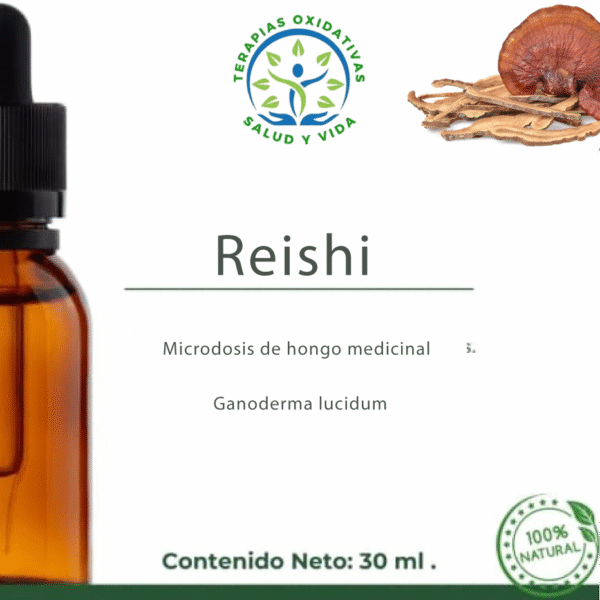 Microdosis de Hongos - Reishi (Ganoderma lucidum)