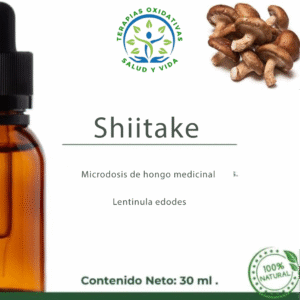Microdosis de Hongos - Shiitake (Lentinula edodes)