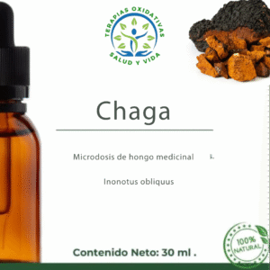 Microdosis de Hongos - Chaga (Inonotus obliquus)