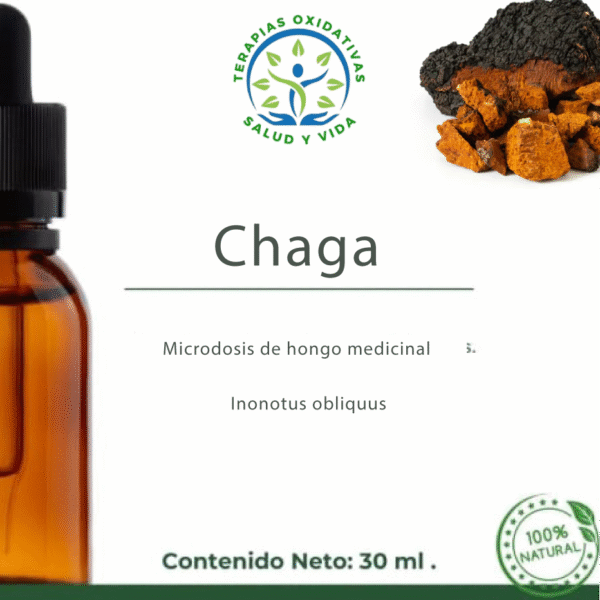 Microdosis de Hongos - Chaga (Inonotus obliquus)