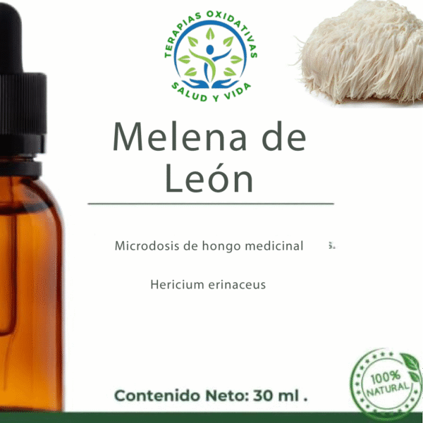 Microdosis de Hongos - Melena de León (Hericium erinaceus)